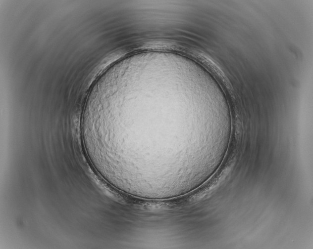 X0000114671041200911121329