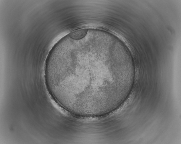 X0000114671042200911121329