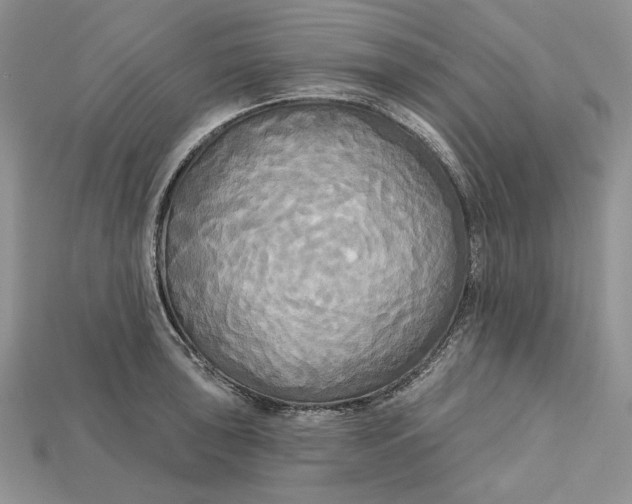 X0000114671043200911121329