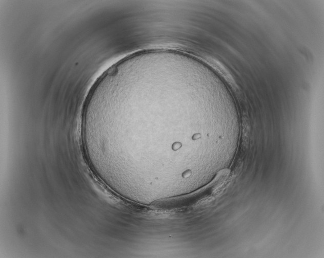 X0000114671044200911121329