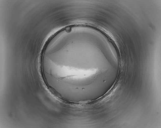 X0000114671045200911121329