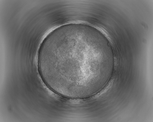 X0000114671046200911121329