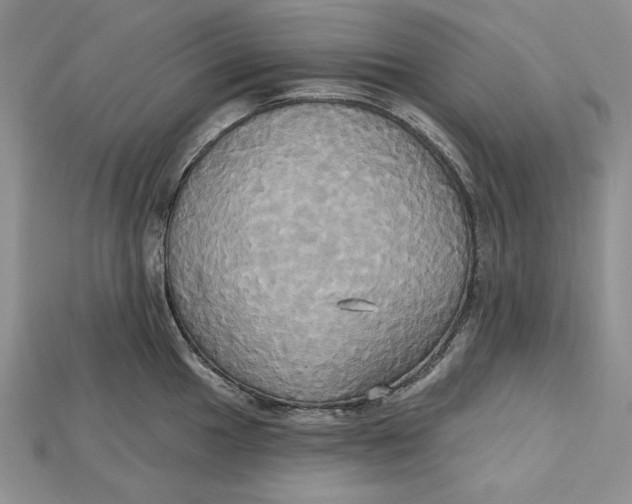 X0000114671049200911121329