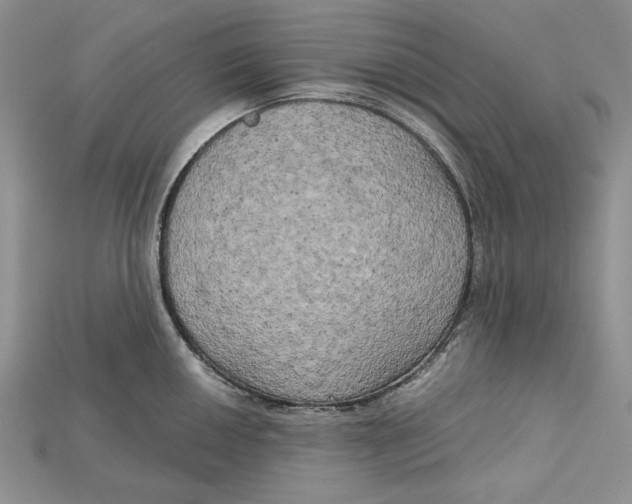 X0000114671050200911121329