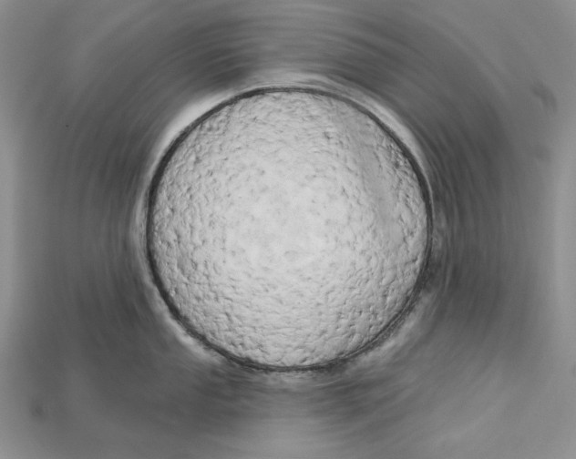 X0000114671053200911121329