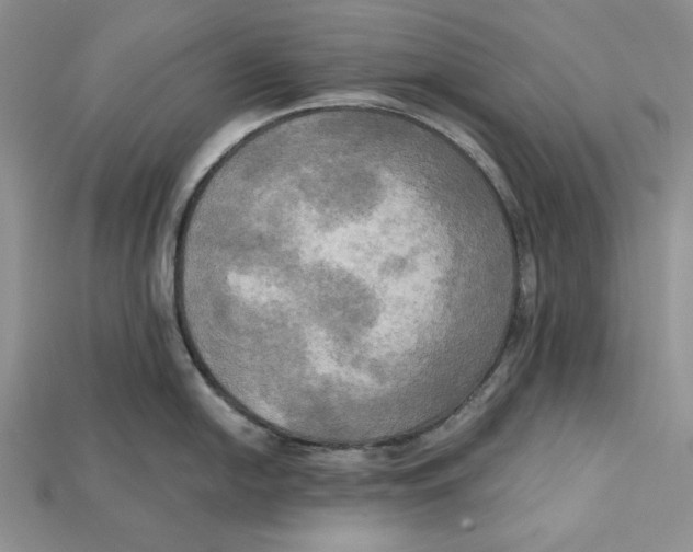 X0000114671054200911121329