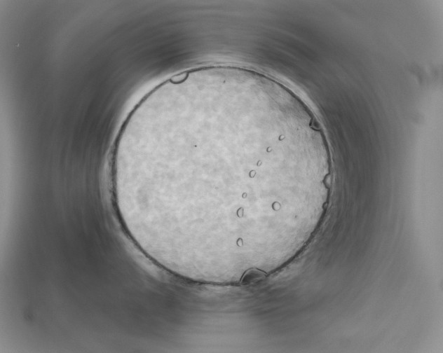 X0000114671056200911121329