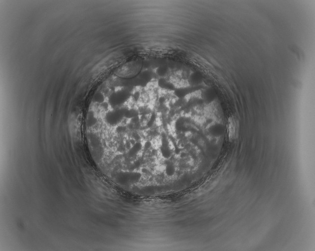 X0000114671059200911121328