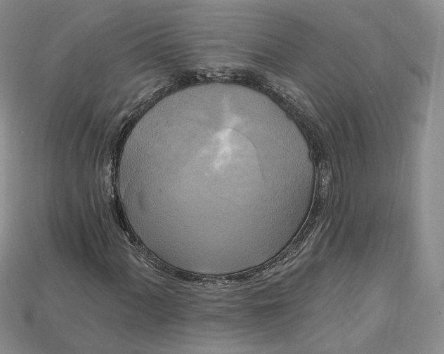 X0000114671060200911121328