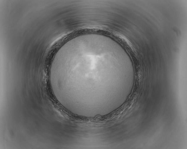 X0000114671064200911121328