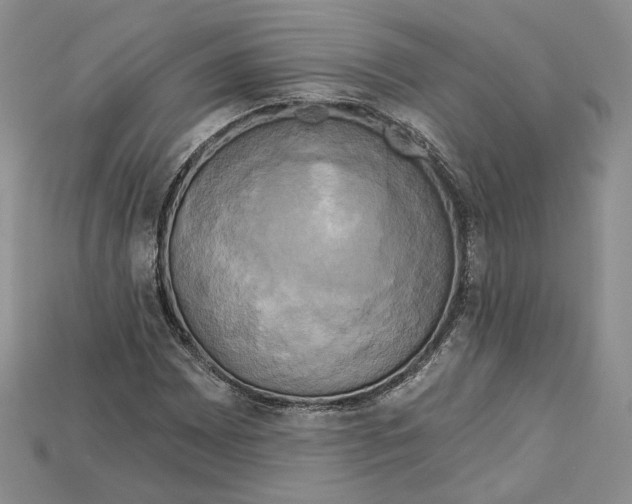 X0000114671065200911121328