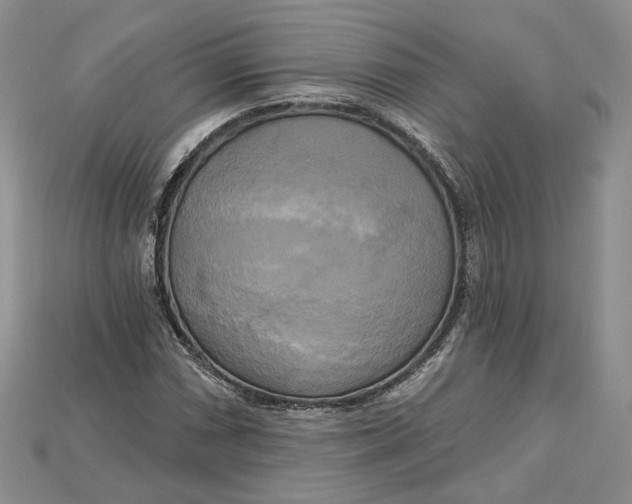 X0000114671066200911121328