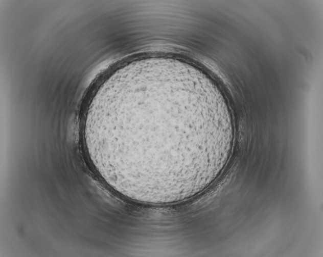 X0000114671067200911121328