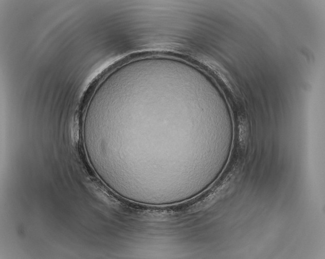 X0000114671069200911121328