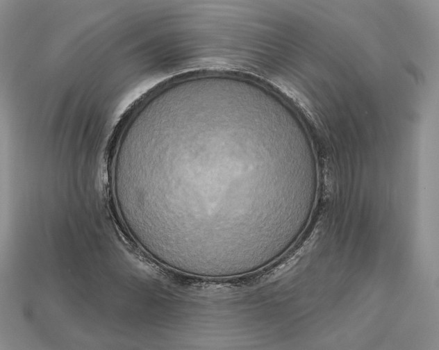 X0000114671070200911121328