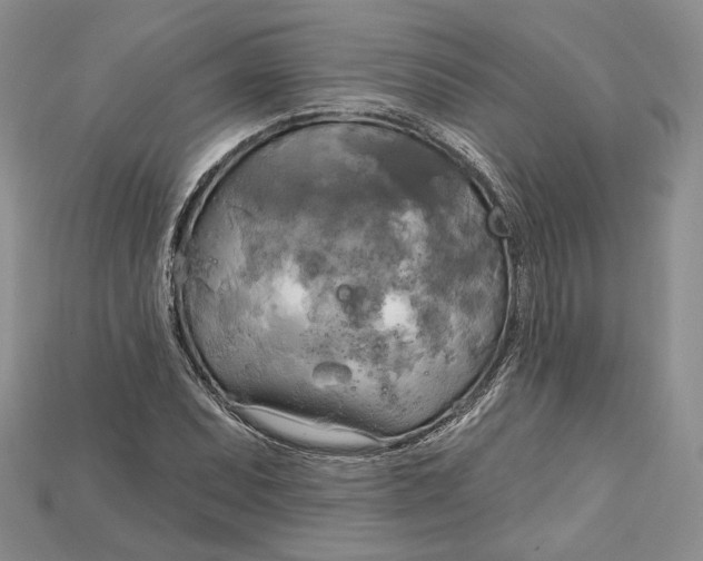 X0000114671071200911121328