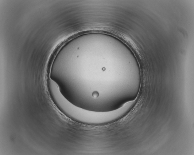 X0000114671072200911121328