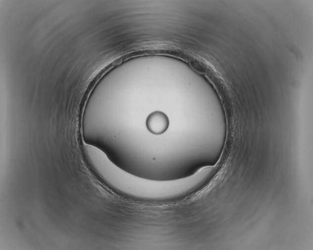 X0000114671073200911121328