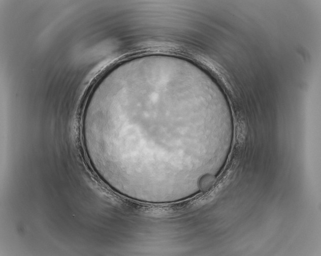 X0000114671074200911121328