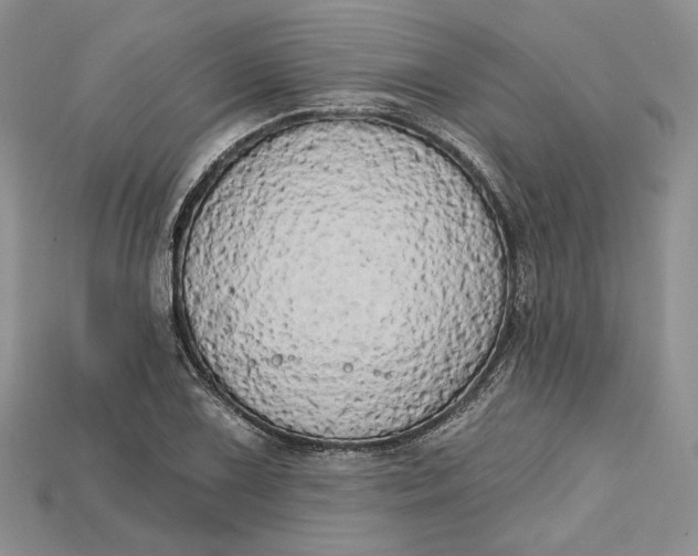 X0000114671075200911121328