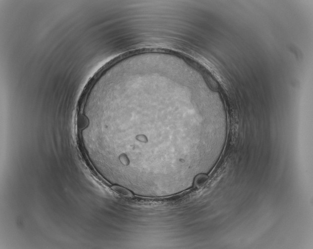 X0000114671076200911121328