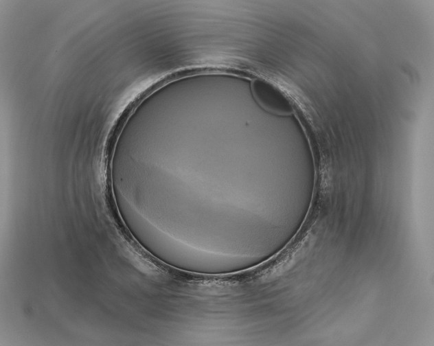 X0000114671077200911121328