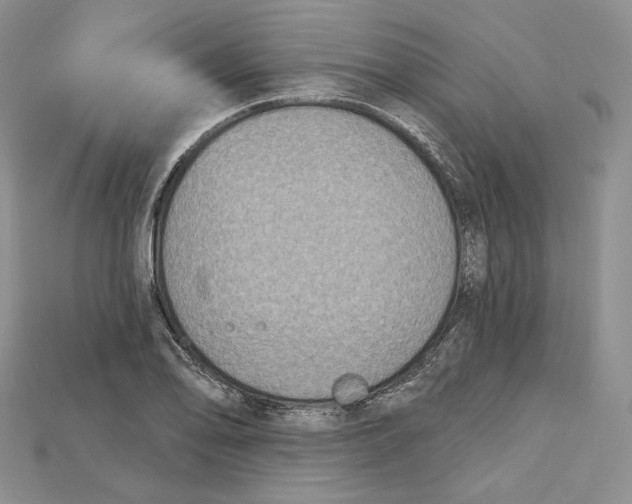 X0000114671078200911121328