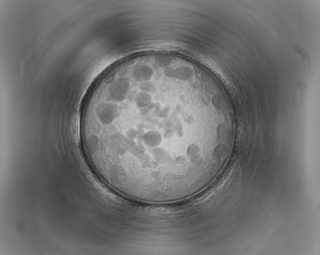 X0000114671079200911121328