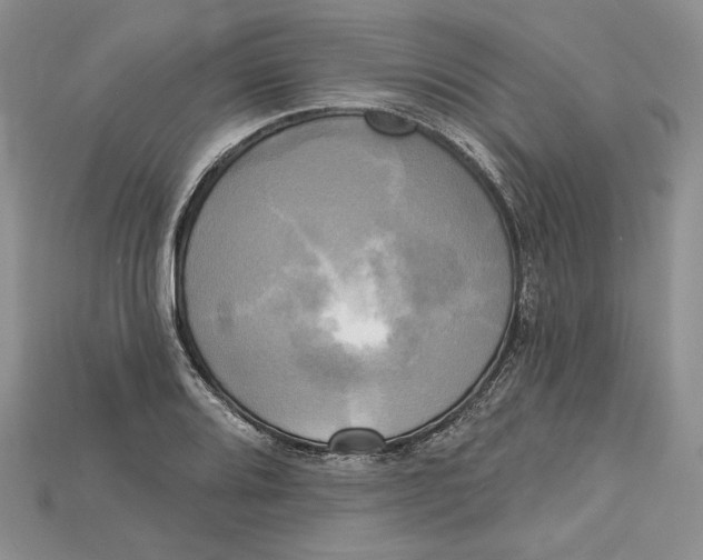 X0000114671080200911121328