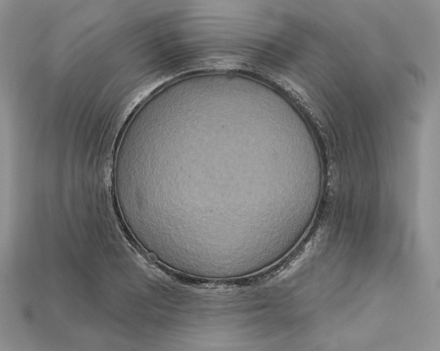 X0000114671081200911121328