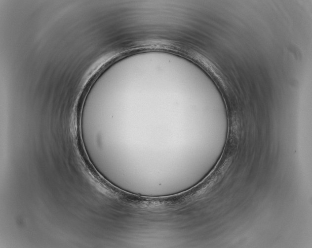 X0000114671082200911121328