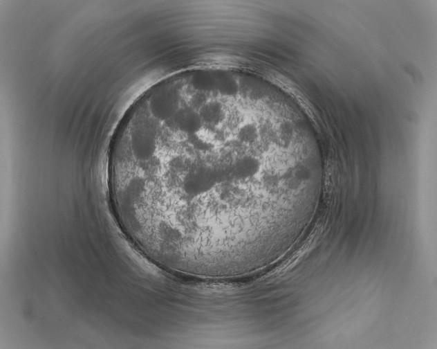 X0000114671083200911121328