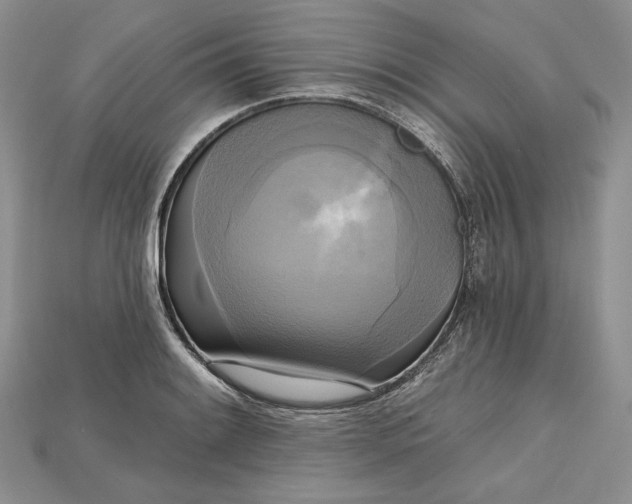 X0000114671084200911121328