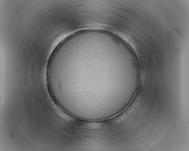 X0000114671085200911121328