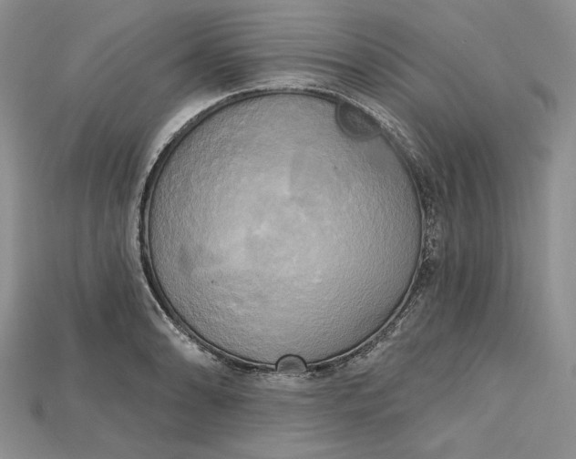 X0000114671086200911121328