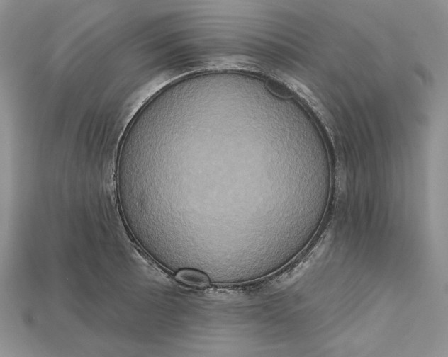 X0000114671089200911121328