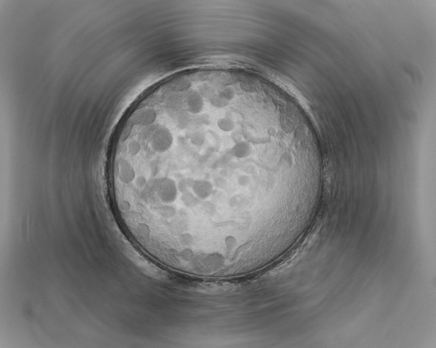 X0000114671091200911121328