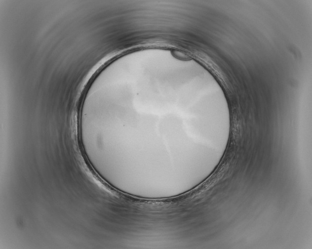 X0000114671092200911121328