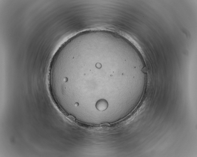 X0000114671093200911121328