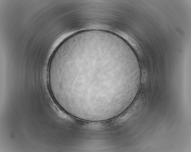 X0000114671094200911121328