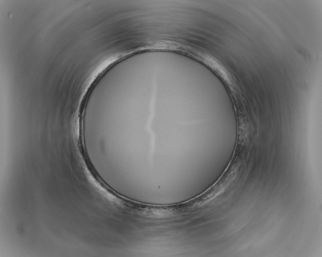 X0000114671095200911121328