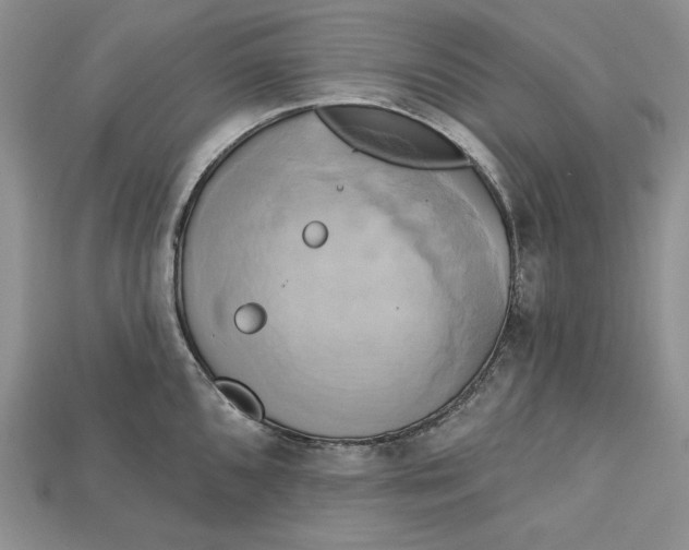 X0000114671096200911121328