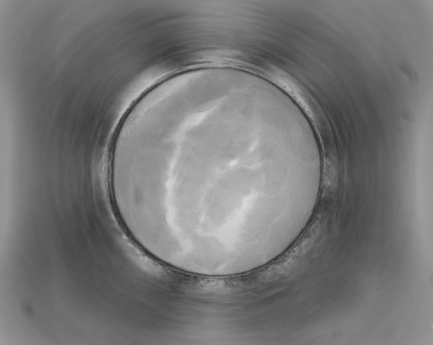 X0000114671098200911121328