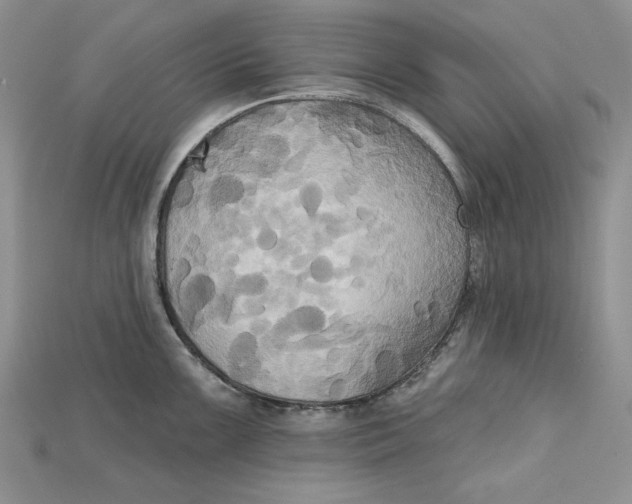 X0000114671099200911121328