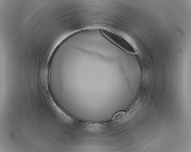 X0000114671100200911121328