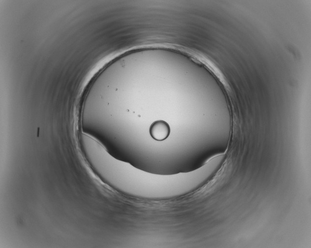 X0000114671101200911121328