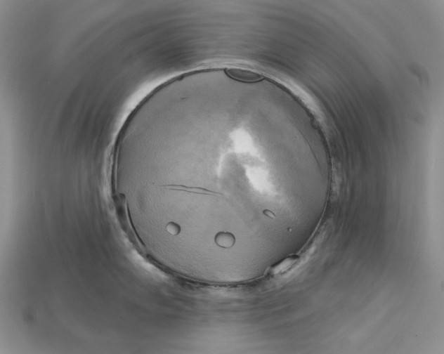 X0000114671102200911121328