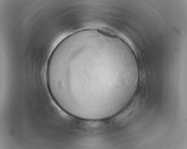 X0000114671103200911121328