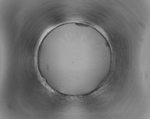 X0000114671104200911121327