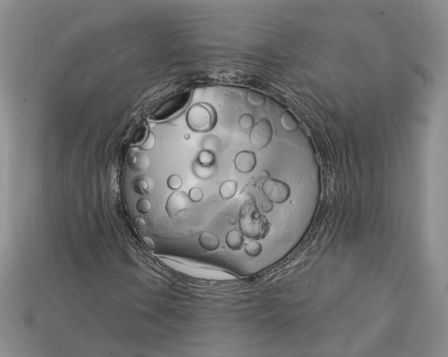 X0000114671106200911121327